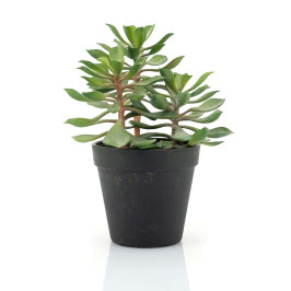 Kunst vetplant met pot 22 cm